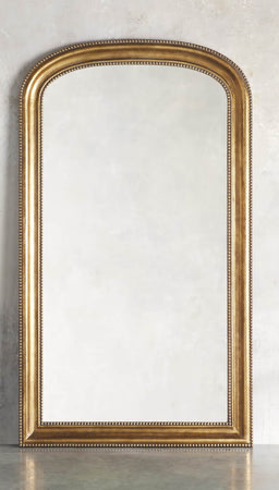 High Quality Look in a mirror Blank Meme Template