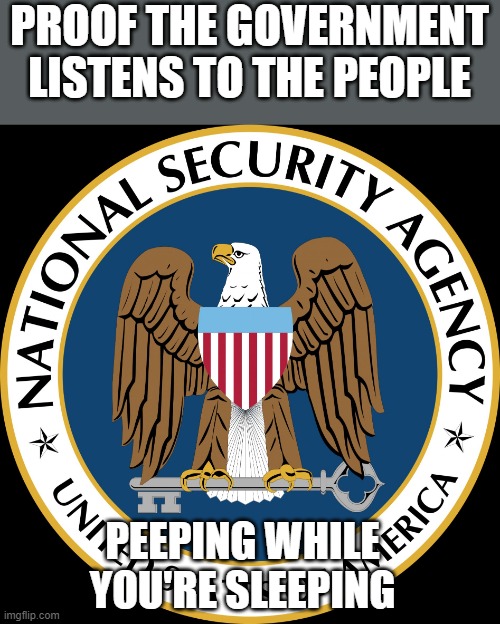 National security agency | PROOF THE GOVERNMENT LISTENS TO THE PEOPLE; PEEPING WHILE YOU'RE SLEEPING | image tagged in nsa puns,spying,government,we the people | made w/ Imgflip meme maker