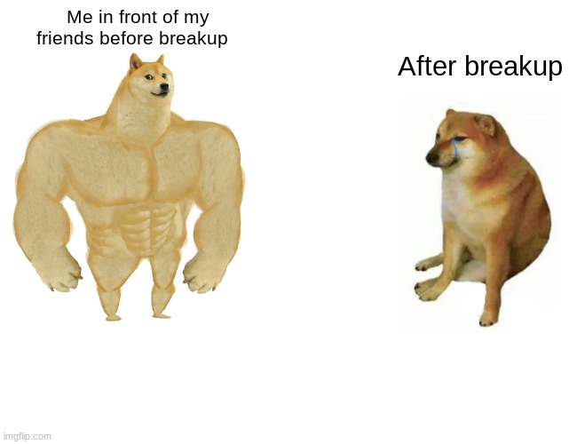 me with my gf | Me in front of my friends before breakup; After breakup | image tagged in memes,buff doge vs cheems,funny memes | made w/ Imgflip meme maker