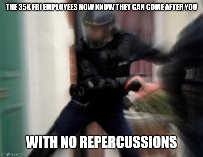 Because of The Durham Report | THE 35K FBI EMPLOYEES NOW KNOW THEY CAN COME AFTER YOU; WITH NO REPERCUSSIONS | image tagged in fbi door breach,lawlessness,you are the target | made w/ Imgflip meme maker