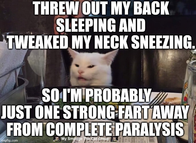 THREW OUT MY BACK SLEEPING AND TWEAKED MY NECK SNEEZING. SO I'M PROBABLY JUST ONE STRONG FART AWAY FROM COMPLETE PARALYSIS | image tagged in smudge the cat | made w/ Imgflip meme maker
