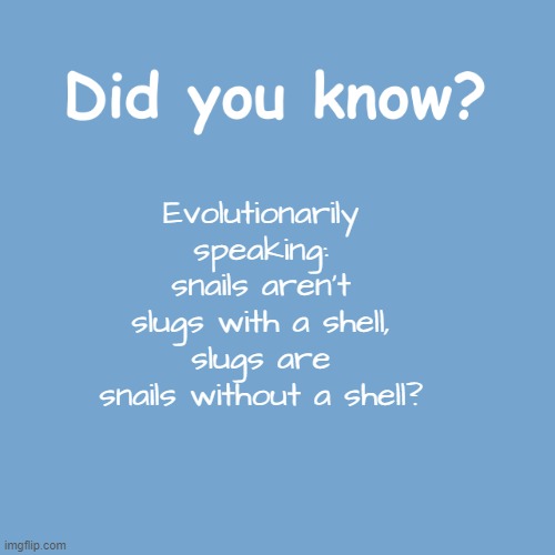 Did you know? | Evolutionarily speaking: snails aren't slugs with a shell, slugs are snails without a shell? | image tagged in did you know | made w/ Imgflip meme maker