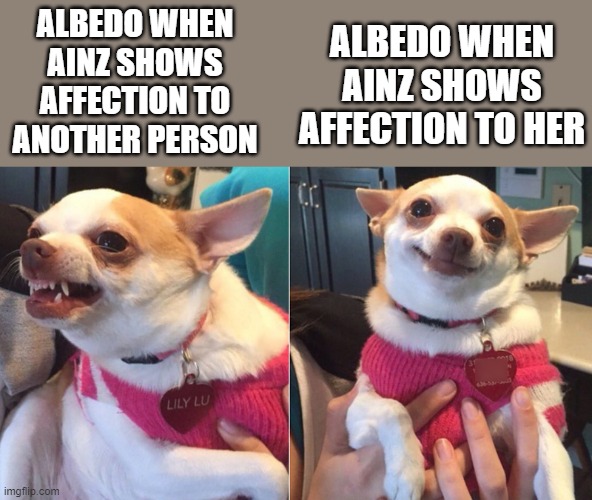 Albedo in a nutshell | ALBEDO WHEN AINZ SHOWS AFFECTION TO HER; ALBEDO WHEN AINZ SHOWS AFFECTION TO ANOTHER PERSON | image tagged in angry and happy chihuahua | made w/ Imgflip meme maker