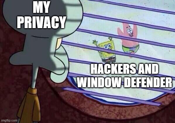 Squidward window | MY PRIVACY; HACKERS AND WINDOW DEFENDER | image tagged in squidward window | made w/ Imgflip meme maker
