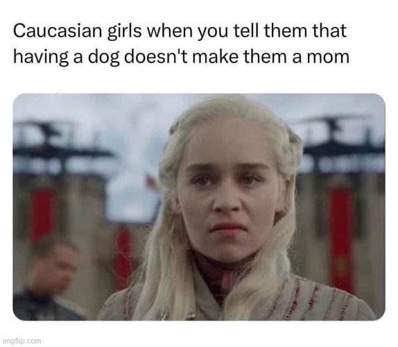 Dog owners | image tagged in dogs,dog,owner,mom | made w/ Imgflip meme maker