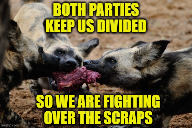 Divide & Conquer | BOTH PARTIES
KEEP US DIVIDED; SO WE ARE FIGHTING
OVER THE SCRAPS | image tagged in deep state | made w/ Imgflip meme maker