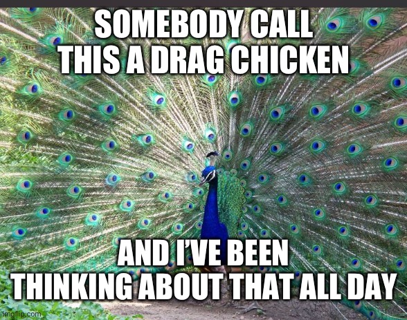 SOMEBODY CALL THIS A DRAG CHICKEN; AND I’VE BEEN THINKING ABOUT THAT ALL DAY | made w/ Imgflip meme maker