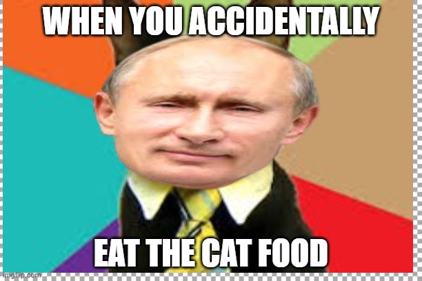 WHEN YOU EAT THE CAT FOOD | WHEN YOU ACCIDENTALLY; EAT THE CAT FOOD | image tagged in memes,funny memes,putin,cat,funny | made w/ Imgflip meme maker