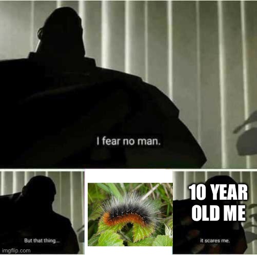 I fear no man | 10 YEAR OLD ME | image tagged in i fear no man,funny memes,meme | made w/ Imgflip meme maker