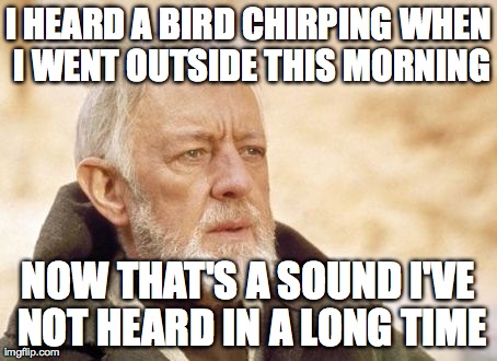 Obi Wan Kenobi Meme | I HEARD A BIRD CHIRPING WHEN I WENT OUTSIDE THIS MORNING NOW THAT'S A SOUND I'VE NOT HEARD IN A LONG TIME | image tagged in memes,obi wan kenobi | made w/ Imgflip meme maker