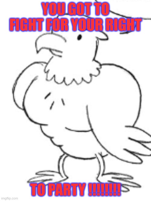 bird | YOU GOT TO FIGHT FOR YOUR RIGHT; TO PARTY !!!!!!!! | image tagged in funny,fyp | made w/ Imgflip meme maker