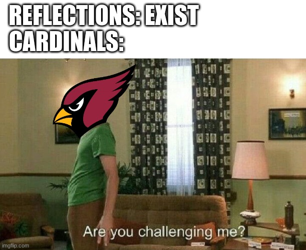 not the football team, the animal | REFLECTIONS: EXIST                       
CARDINALS: | image tagged in are you challenging me,animals,yes,never gonna give you up | made w/ Imgflip meme maker