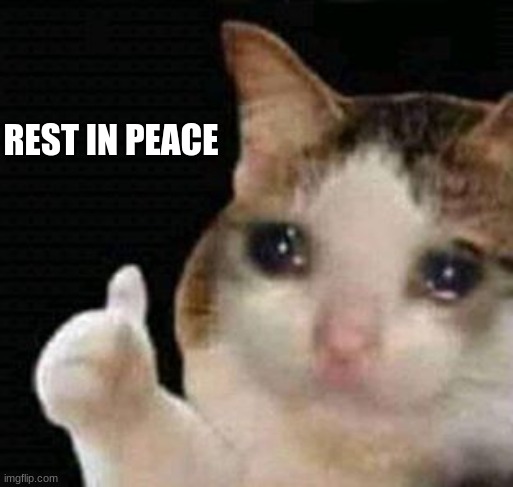 REST IN PEACE | image tagged in sad thumbs up cat | made w/ Imgflip meme maker
