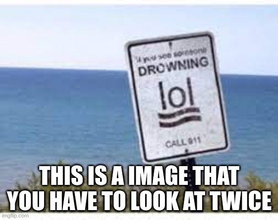 lol | THIS IS A IMAGE THAT YOU HAVE TO LOOK AT TWICE | image tagged in funny | made w/ Imgflip meme maker