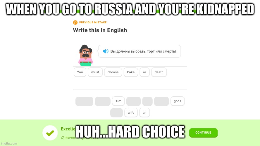 russian torture | WHEN YOU GO TO RUSSIA AND YOU'RE KIDNAPPED; HUH...HARD CHOICE | image tagged in duolingo,russia,russian,torture,cake | made w/ Imgflip meme maker