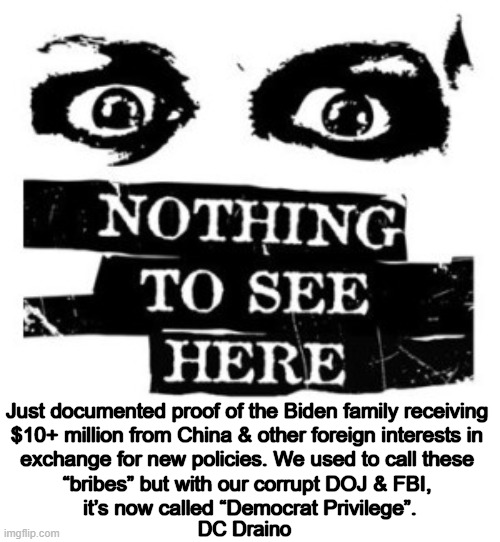 Corruption to the Core | Just documented proof of the Biden family receiving 

$10+ million from China & other foreign interests in 

exchange for new policies. We used to call these 

“bribes” but with our corrupt DOJ & FBI, 

it’s now called “Democrat Privilege”. DC Draino | image tagged in politics,joe biden,china,bribes,dirty money,documented proof | made w/ Imgflip meme maker