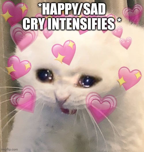 Loving & Crying Cat | *HAPPY/SAD CRY INTENSIFIES * | image tagged in loving crying cat | made w/ Imgflip meme maker