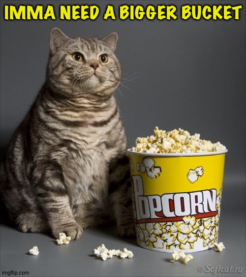 Cat eating popcorn | IMMA NEED A BIGGER BUCKET | image tagged in cat eating popcorn | made w/ Imgflip meme maker