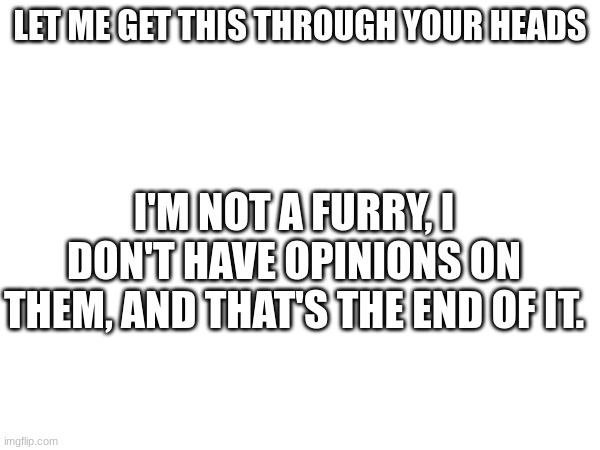 bro | LET ME GET THIS THROUGH YOUR HEADS; I'M NOT A FURRY, I DON'T HAVE OPINIONS ON THEM, AND THAT'S THE END OF IT. | image tagged in bro | made w/ Imgflip meme maker