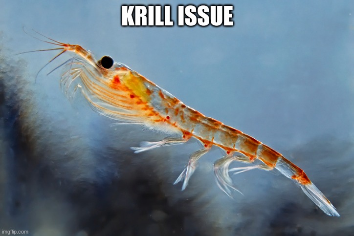 KRILL ISSUE | made w/ Imgflip meme maker