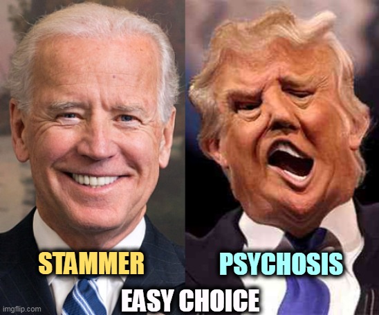 One's old, the other is old and insane. | STAMMER; PSYCHOSIS; EASY CHOICE | image tagged in biden,old,trump,insane,stammer,psycho | made w/ Imgflip meme maker