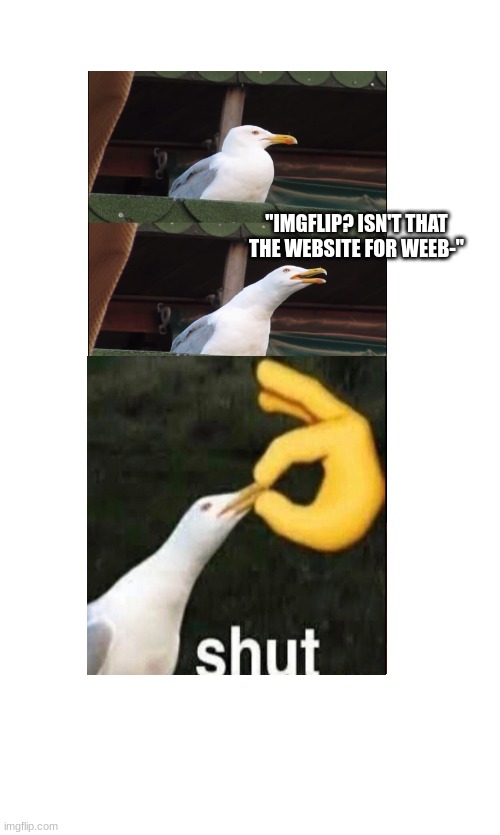 300 upvotes and I make this a template | "IMGFLIP? ISN'T THAT THE WEBSITE FOR WEEB-" | image tagged in yes,shut | made w/ Imgflip meme maker