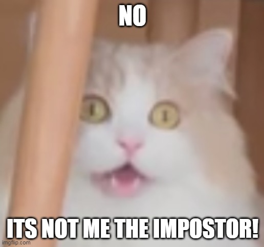 NOT ME!!!!! | NO; ITS NOT ME THE IMPOSTOR! | image tagged in cats,amogus,imposter | made w/ Imgflip meme maker