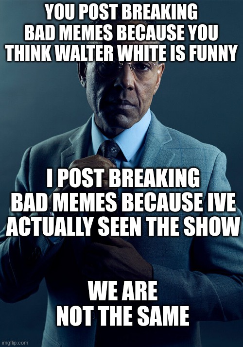 Gus Fring we are not the same | YOU POST BREAKING BAD MEMES BECAUSE YOU THINK WALTER WHITE IS FUNNY; I POST BREAKING BAD MEMES BECAUSE IVE ACTUALLY SEEN THE SHOW; WE ARE NOT THE SAME | image tagged in gus fring we are not the same | made w/ Imgflip meme maker