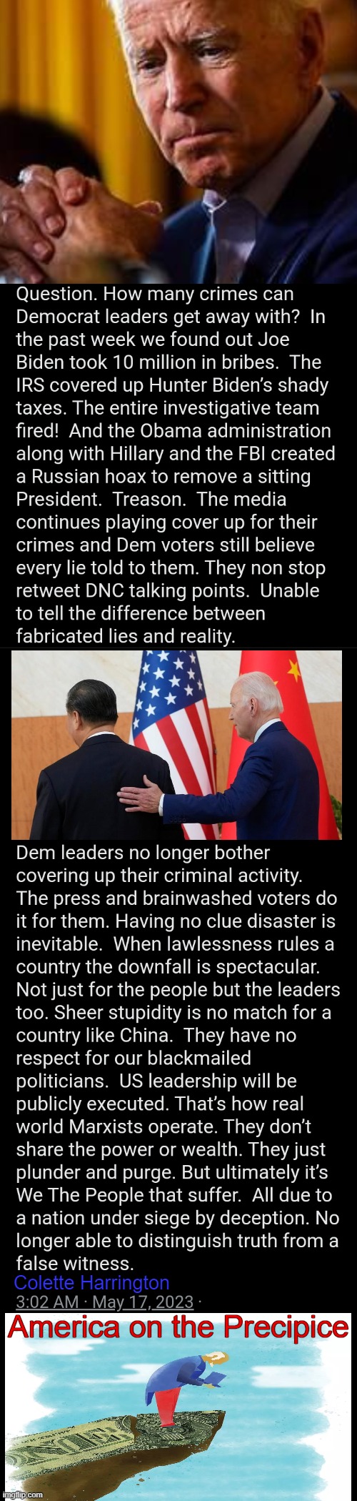 There is Only One Truth | Colette Harrington; America on the Precipice | image tagged in politics,joe biden,made in china,democrats,government corruption,truth | made w/ Imgflip meme maker