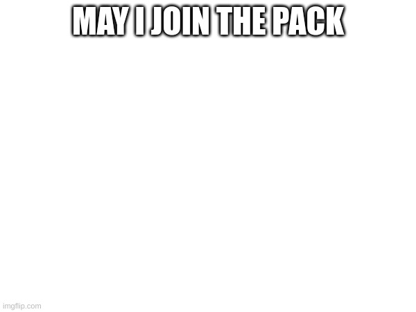 MAY I JOIN THE PACK | made w/ Imgflip meme maker