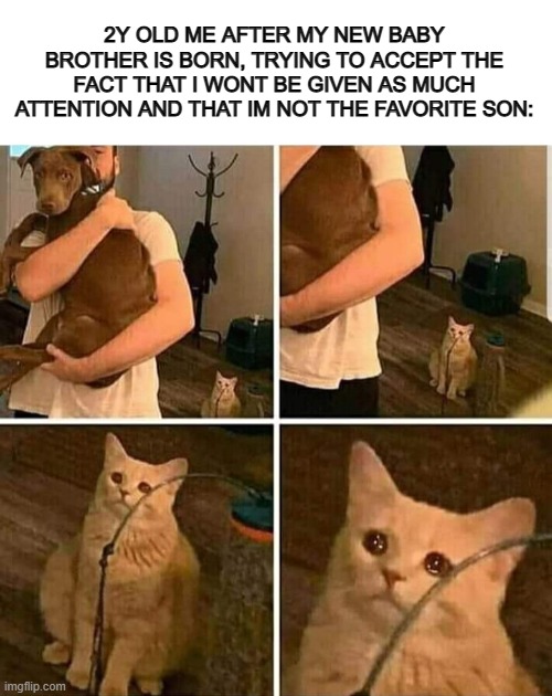 Apparently, I got *very* emotional when this happened... | 2Y OLD ME AFTER MY NEW BABY BROTHER IS BORN, TRYING TO ACCEPT THE FACT THAT I WONT BE GIVEN AS MUCH ATTENTION AND THAT IM NOT THE FAVORITE SON: | image tagged in blank white template,sad cat holding dog | made w/ Imgflip meme maker