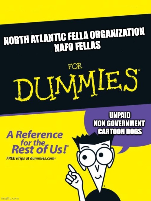 Who is NAFO Fellas | NORTH ATLANTIC FELLA ORGANIZATION 
   NAFO FELLAS; UNPAID NON GOVERNMENT 
CARTOON DOGS | image tagged in for dummies book,ukraine,dogs | made w/ Imgflip meme maker
