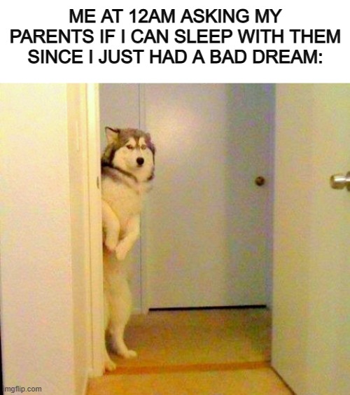 Spooky :[] | ME AT 12AM ASKING MY PARENTS IF I CAN SLEEP WITH THEM SINCE I JUST HAD A BAD DREAM: | image tagged in blank white template,husky peeking in doorway | made w/ Imgflip meme maker