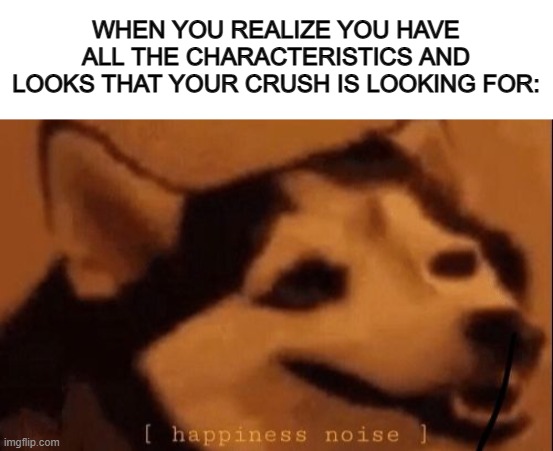 No comment- | WHEN YOU REALIZE YOU HAVE ALL THE CHARACTERISTICS AND LOOKS THAT YOUR CRUSH IS LOOKING FOR: | image tagged in blank white template,happiness noise | made w/ Imgflip meme maker