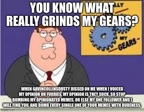 My one follower and I, we don't know you, but we will find you, we will hunt you down, and we will kill you | YOU KNOW WHAT REALLY GRINDS MY GEARS? WHEN GAVINCOLLINSDUSTY DISSED ON ME WHEN I VOICED MY OPINION ON FURRIES, MY OPINION IS THEY SUCK, SO STOP BOMBING MY OPINIONATED MEMES, OR ELSE MY ONE FOLLOWER AND I WILL FIND YOU, AND BOMB EVERY SINGLE ONE OF YOUR MEMES WITH RUDENESS. | image tagged in you know what really grinds my gears | made w/ Imgflip meme maker