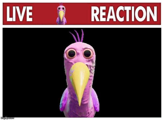 live birb reaction | image tagged in birb | made w/ Imgflip meme maker