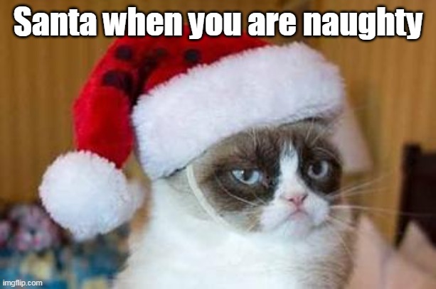 Oh No!!! nO pReSeNt FoR yOu!! | Santa when you are naughty | image tagged in christmas grumpy cat | made w/ Imgflip meme maker