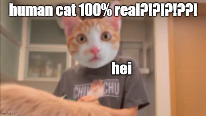 HUMAN CATS?!?!?!?!?!? | human cat 100% real?!?!?!??! hei | image tagged in cats,funny,human | made w/ Imgflip meme maker