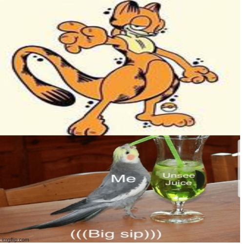 Unsee that | image tagged in memes,garfield | made w/ Imgflip meme maker