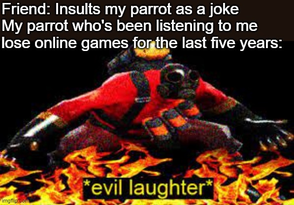*inhales* | Friend: Insults my parrot as a joke
My parrot who's been listening to me lose online games for the last five years: | image tagged in evil laughter | made w/ Imgflip meme maker