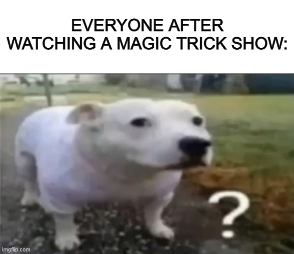 How? That's impossible XD | EVERYONE AFTER WATCHING A MAGIC TRICK SHOW: | image tagged in blank white template | made w/ Imgflip meme maker