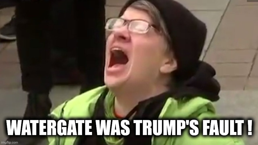 Screaming Liberal  | WATERGATE WAS TRUMP'S FAULT ! | image tagged in screaming liberal | made w/ Imgflip meme maker