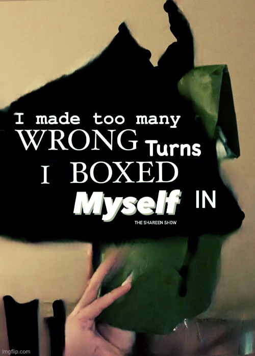 I made too many wrong turns I boxed myself in | image tagged in shareenhammoud,mentalhealthquote,quotes,strengthquotes | made w/ Imgflip meme maker