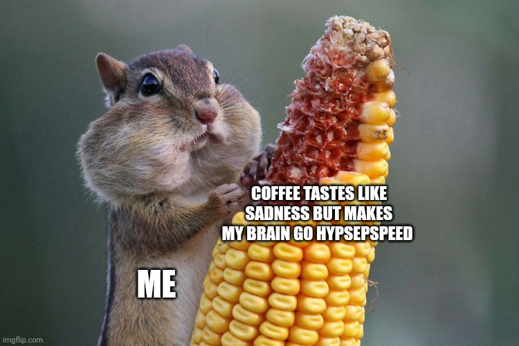 Sadness but makes me feel awake | COFFEE TASTES LIKE SADNESS BUT MAKES MY BRAIN GO HYPSEPSPEED; ME | image tagged in chipmunk feast | made w/ Imgflip meme maker