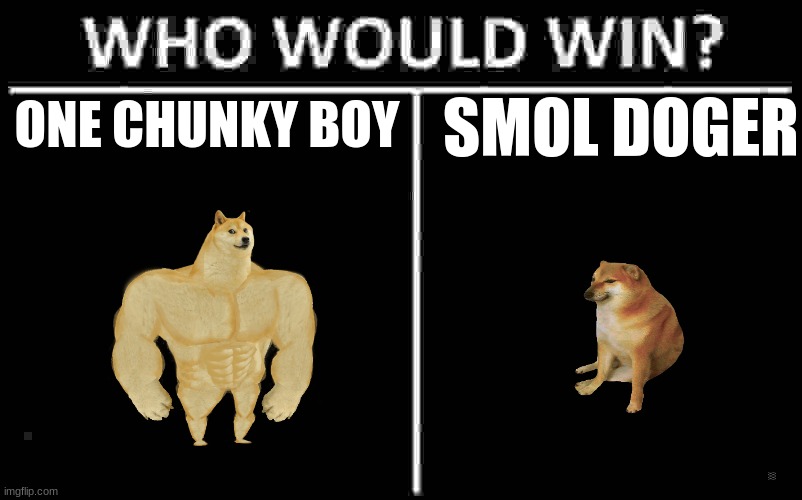 Who Would Win? | ONE CHUNKY BOY; SMOL DOGER | image tagged in memes,who would win | made w/ Imgflip meme maker