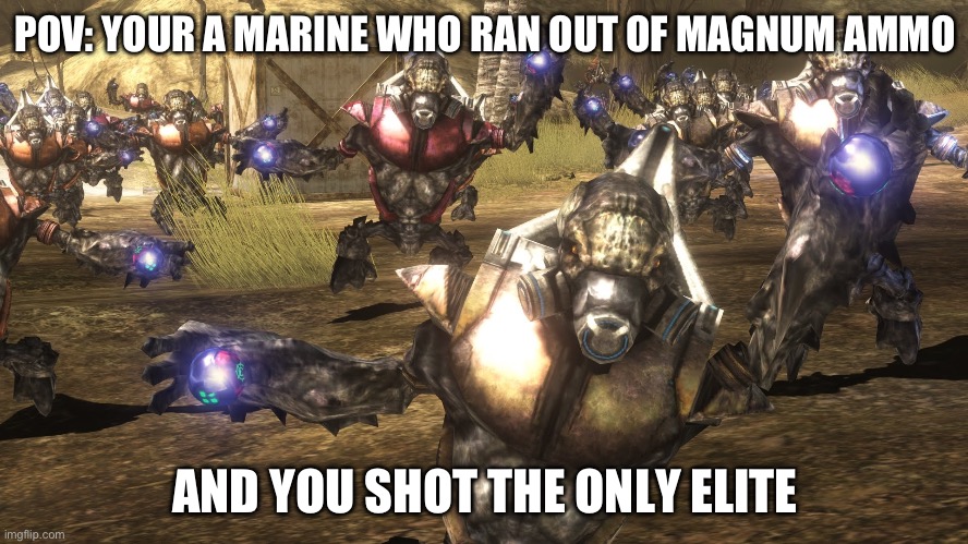Feeling lucky now you killed the elite? | POV: YOUR A MARINE WHO RAN OUT OF MAGNUM AMMO; AND YOU SHOT THE ONLY ELITE | image tagged in halo grunt | made w/ Imgflip meme maker