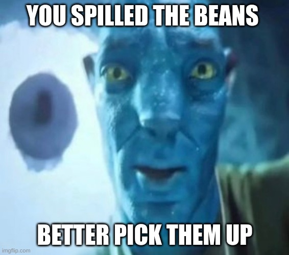 Avatar guy | YOU SPILLED THE BEANS; BETTER PICK THEM UP | image tagged in avatar guy | made w/ Imgflip meme maker