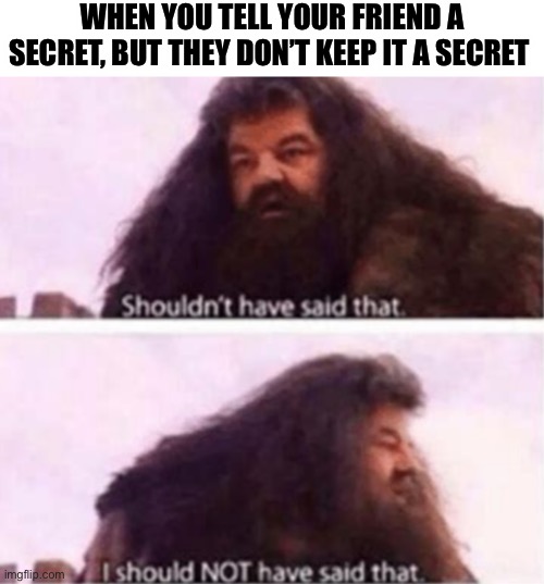 Secret | WHEN YOU TELL YOUR FRIEND A SECRET, BUT THEY DON’T KEEP IT A SECRET | image tagged in shouldn't have said that,secret | made w/ Imgflip meme maker