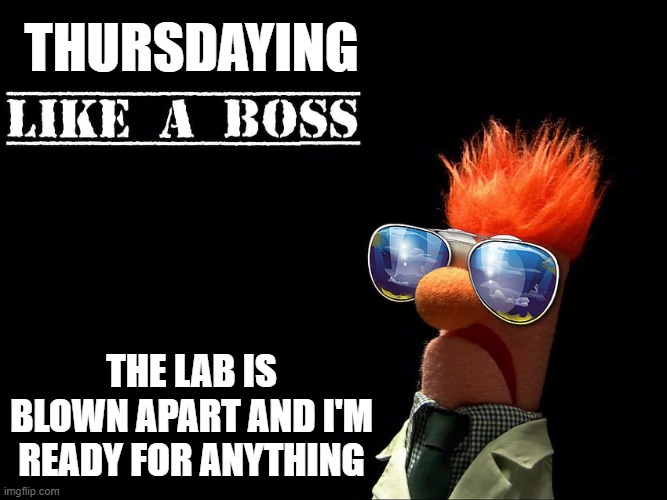 Thursday Boss | THURSDAYING; THE LAB IS BLOWN APART AND I'M READY FOR ANYTHING | image tagged in beaker,muppets,thursday,like a boss | made w/ Imgflip meme maker