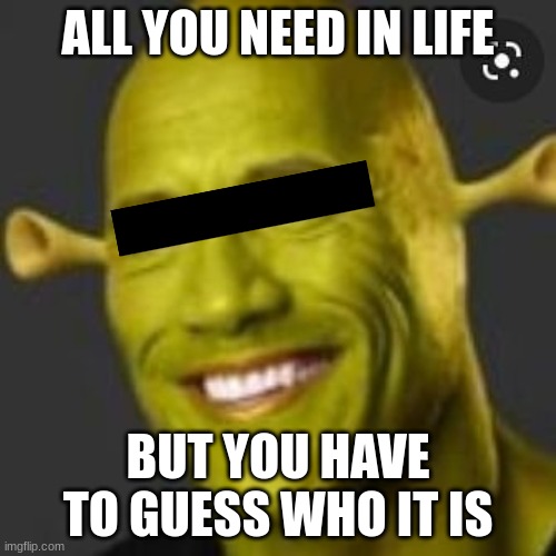 rock or shrek | ALL YOU NEED IN LIFE; BUT YOU HAVE TO GUESS WHO IT IS | image tagged in shrekxy | made w/ Imgflip meme maker